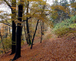 20071009 1380543386 wanderweg
