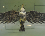 das leiden eines stolzen vogels 20100605 1461103353