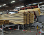 das getrocknete schnittholz wird dbearbeitung zugefuehrt 20101219 1782985011