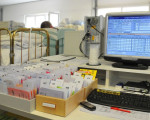 nur mit moderner logistik zu haendeln 20100426 2036540128