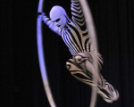 sportgala 20111227 1819612611