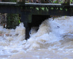 viel wasser in der ruhr 20111227 1906498946