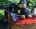 polizei auf einem fahrenden sofa 20110821 1968037066
