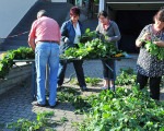 kraenzen 20110701 1367390954