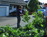 kraenzen 20110701 1635228005