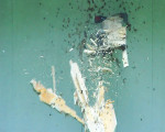 willi von der gierskopp zerbroeselt den vogel 20110627 1049743686