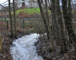  20110114 1501482962