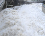 20110114 1553391773