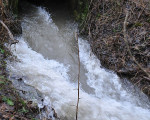  20110114 1589940031