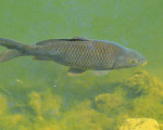  20110529 1994964894