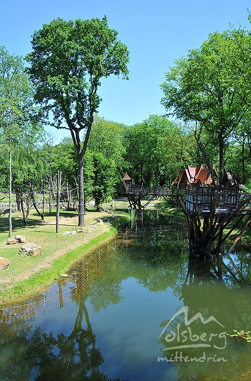 asienlandschaft 20110529 1756883169