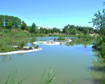feuchtsavanne 20110529 1329449735