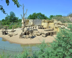 insel der paviane 20110529 1037707344