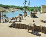 insel der paviane 20110529 1207081629