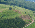 das gipfelkreuz auf dem olsbergberg ist wieder gut sichtbar 20130721 1444331529