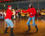 der einzug der piraten 20130119 1325925284
