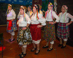 die springhuehner 20130203 1431158958