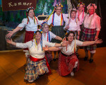 die springhuehner 20130203 1590977410