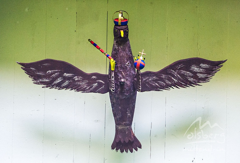 der noch stolze vogel 20130525 1616391667