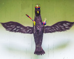 der noch stolze vogel 20130525 1616391667