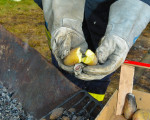 kartoffelbraten 20130902 1393333274