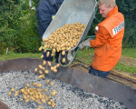 kartoffelbraten 20130902 1797813178