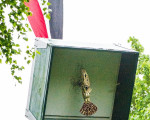  20130602 1668509716