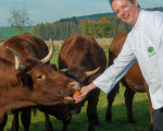 der schinkenwirt michael pfannes 20141117 1223969097