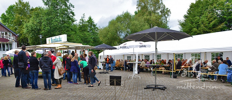 der park fuellt sich trotz herbstwetter 20140831 1837115051