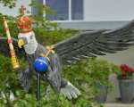 ein schoener vogel schade  20140627 1617641633