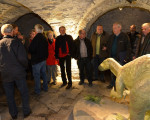 dinosaurier  das was uebrig blieb 20140321 1274364154