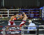 albano sidon vs tba6 rd heavyweigth 20150601 1461714763