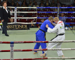 kodokan olsberg judo taekwon do 20150531 1044049995