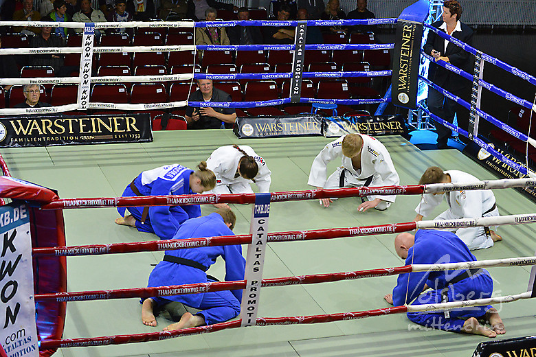 kodokan olsberg judo taekwon do 20150531 1429633605