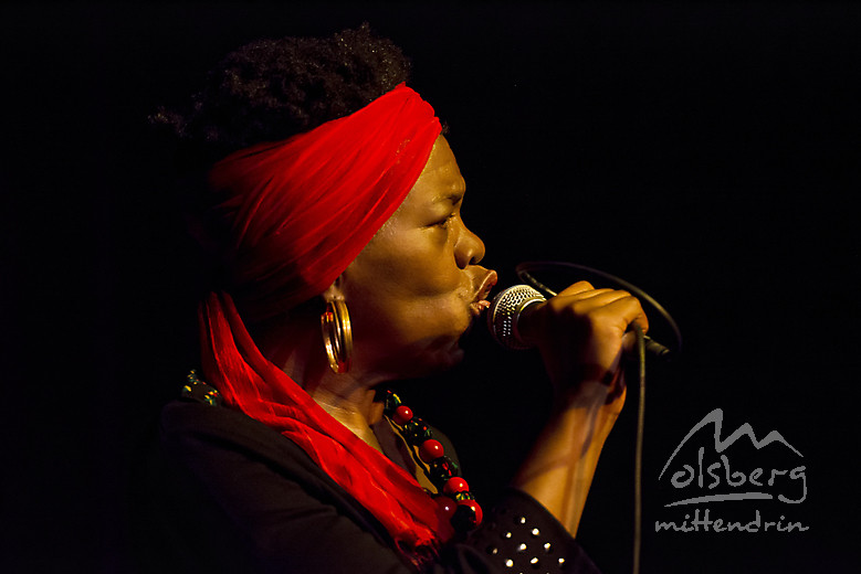 club des belugas 20151026 1646688179