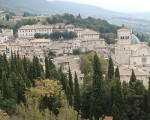 assisi 20151113 1005666307