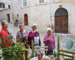assisi 20151113 1036904781