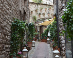 assisi 20151113 1122922166