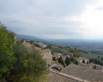 assisi 20151113 1211997414