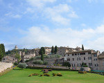 assisi 20151113 1426632654