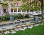 assisi 20151113 1732490831