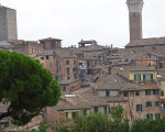 siena 20151113 1762408363