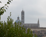siena 20151113 1879593225