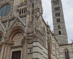 siena 20151113 2049882615