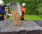 hinein mit den kartoffel 20150907 1205316445