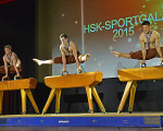 trio horses drei artisten  drei pauschenpferde 20150413 1669085305