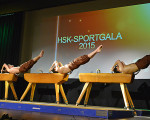 trio horses drei artisten  drei pauschenpferde 20150413 1810198557