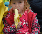 alles banane 20150508 1520294281