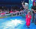 eine kleine zauberfee 20150511 1826247862