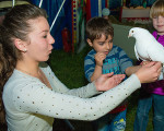 erste kontaktaufnahme 20150508 1005850851